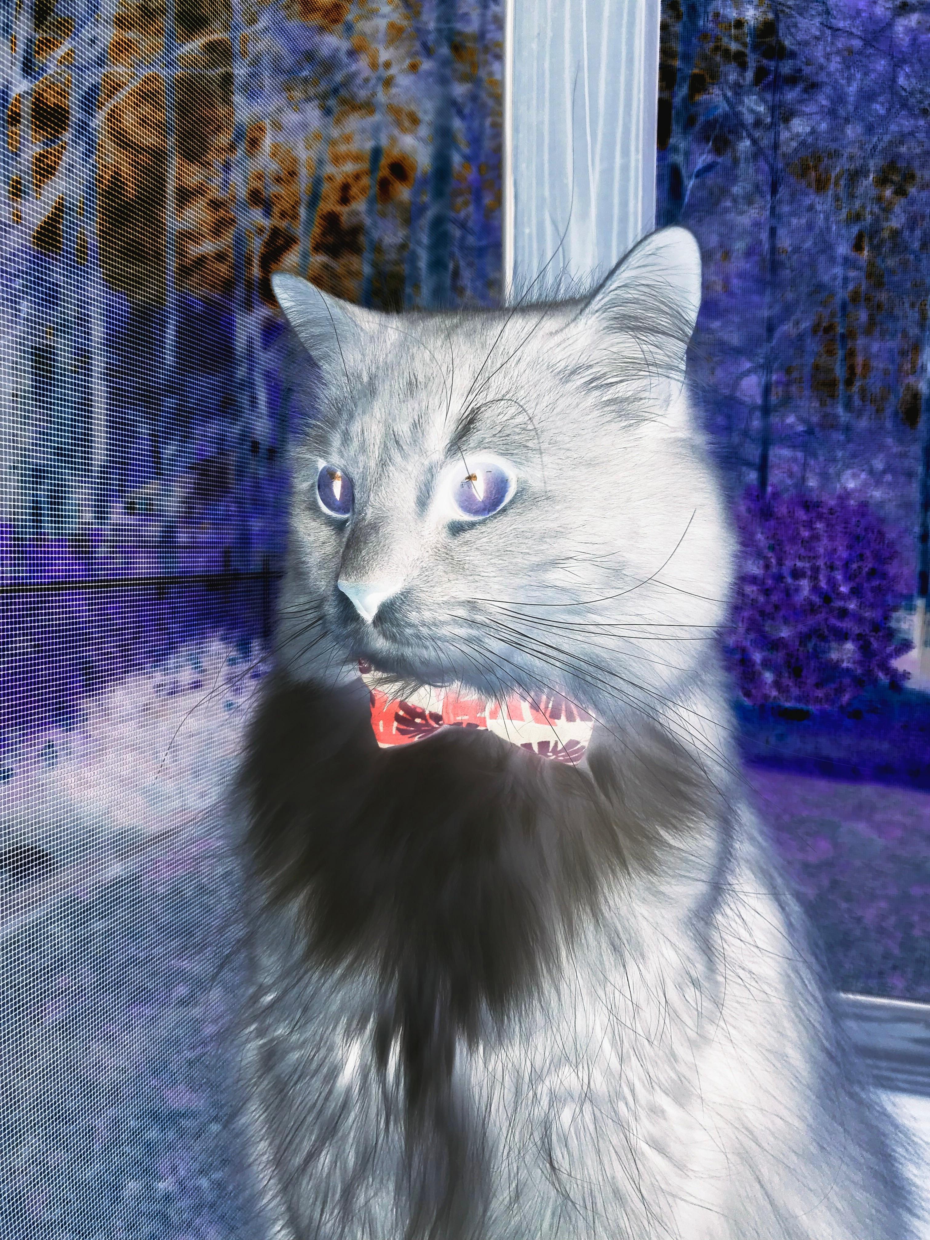 中老年人运动社群建设与参与策略研究,中老年社群营销